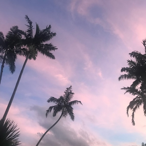 Meet your Posher, Ania - Picture 1 of 1